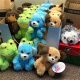 Cuddly Dollar Tree Teddy Bears: A Buyer's Guide | Teddy Information – Everything You Need to Know About Teddy Bears