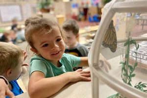 My Teddy Bear Daycare Adventures Teddy Information – Everything You Need to Know About Teddy Bears My Teddy Bear Daycare Adventures | Teddy Information – Everything You Need to Know About Teddy Bears