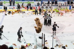 The Ultimate Guide to Teddy Bear Toss Hockey Events Teddy Information – Everything You Need to Know About Teddy Bears The Ultimate Guide to Teddy Bear Toss Hockey Events | Teddy Information – Everything You Need to Know About Teddy Bears