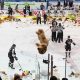 The Ultimate Guide to Teddy Bear Toss Hockey Events | Teddy Information – Everything You Need to Know About Teddy Bears