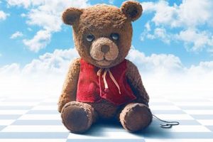 Cuddly Chauncey Teddy Bear: Soft & Huggable | Teddy Information – Everything You Need to Know About Teddy Bears