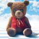 Cuddly Chauncey Teddy Bear: Soft & Huggable | Teddy Information – Everything You Need to Know About Teddy Bears