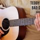 Easy Teddy Swims Chords for Beginners | Teddy Information – Everything You Need to Know About Teddy Bears