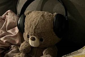 Cute Teddy Bear PFPs: Find Your Perfect Image Teddy Information – Everything You Need to Know About Teddy Bears Cute Teddy Bear PFPs: Find Your Perfect Image | Teddy Information – Everything You Need to Know About Teddy Bears