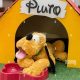 Cuddly Pluto Teddy Bear Plush Toys & Gifts | Teddy Information – Everything You Need to Know About Teddy Bears