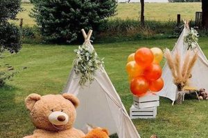 Cute Teddy Picnic Ideas & Inspiration Teddy Information – Everything You Need to Know About Teddy Bears Cute Teddy Picnic Ideas & Inspiration | Teddy Information – Everything You Need to Know About Teddy Bears