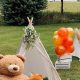 Cute Teddy Picnic Ideas & Inspiration | Teddy Information – Everything You Need to Know About Teddy Bears
