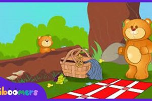 Fun Kiboomers Teddy Bear Picnic Lyrics & Singalong | Teddy Information – Everything You Need to Know About Teddy Bears