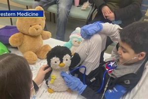 Find a Teddy Bear Doctor Near You - Plush Toy Repair | Teddy Information – Everything You Need to Know About Teddy Bears