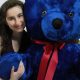 Cuddly Royal Blue Teddy Bears: Shop Now! | Teddy Information – Everything You Need to Know About Teddy Bears