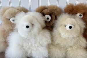 Cuddly Alpaca Teddy Bears: Soft & Hypoallergenic | Teddy Information – Everything You Need to Know About Teddy Bears