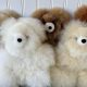 Cuddly Alpaca Teddy Bears: Soft & Hypoallergenic | Teddy Information – Everything You Need to Know About Teddy Bears