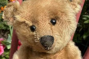 Collectible Antique Teddy Bears from 1950 | Teddy Information – Everything You Need to Know About Teddy Bears