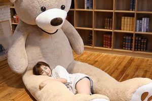 Giant Teddy Bears: World's Biggest Plush Toys | Teddy Information – Everything You Need to Know About Teddy Bears