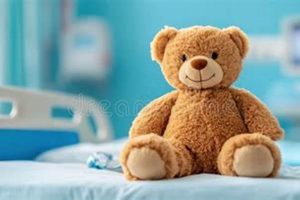 My Teddy in Hospital: Comfort & Care | Teddy Information – Everything You Need to Know About Teddy Bears