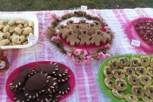 Cute Teddy Bear Picnic Food Ideas & Recipes | Teddy Information – Everything You Need to Know About Teddy Bears