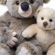 Cuddly Koala & Teddy Bear Toys & Gifts | Teddy Information – Everything You Need to Know About Teddy Bears