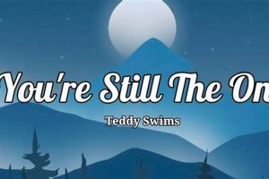 Teddy Swims' "You're Still the One" Lyrics & Meaning | Teddy Information – Everything You Need to Know About Teddy Bears