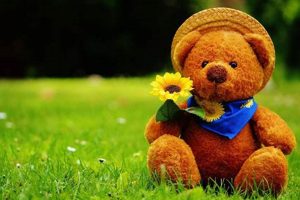 Cute Teddy Bear Screen Savers & Wallpaper Teddy Information – Everything You Need to Know About Teddy Bears Cute Teddy Bear Screen Savers & Wallpaper | Teddy Information – Everything You Need to Know About Teddy Bears