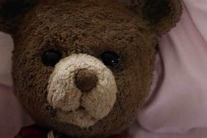 Terror of Teddy: Plush Nightmares | Teddy Information – Everything You Need to Know About Teddy Bears