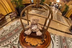 Best Teddy Bear Tea Parties in New Orleans, LA | Teddy Information – Everything You Need to Know About Teddy Bears