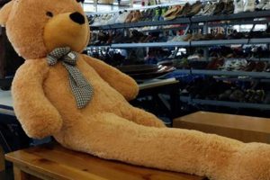 Long Leg Teddy Teddy Information – Everything You Need to Know About Teddy Bears Long Leg Teddy | Teddy Information – Everything You Need to Know About Teddy Bears