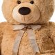 Cuddly Tan Teddy Bears: Soft & Huggable | Teddy Information – Everything You Need to Know About Teddy Bears