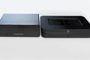 Teddy Pardo's Node.js X Upgrade: Boosting Performance | Teddy Information – Everything You Need to Know About Teddy Bears