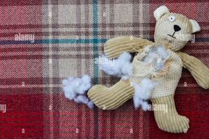 The Ripped Teddy Bear: A Story of Love Teddy Information – Everything You Need to Know About Teddy Bears The Ripped Teddy Bear: A Story of Love | Teddy Information – Everything You Need to Know About Teddy Bears