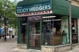 Cute Teddy Wedgers for Kids & Babies Teddy Information – Everything You Need to Know About Teddy Bears Cute Teddy Wedgers for Kids & Babies | Teddy Information – Everything You Need to Know About Teddy Bears