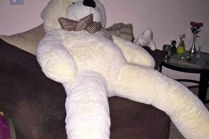 Cuddly Teddy Bear Long Legs: Soft & Plush | Teddy Information – Everything You Need to Know About Teddy Bears
