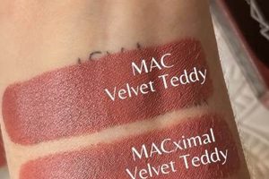MAC Warm Teddy Swatch: Perfect Nude Lipstick? | Teddy Information – Everything You Need to Know About Teddy Bears