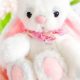 Cuddly Bunny Rabbit Teddy Bears: Soft & Huggable | Teddy Information – Everything You Need to Know About Teddy Bears