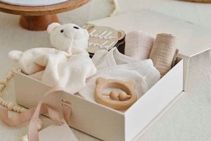 Cute Teddy Bear Gift Boxes | Shop Now | Teddy Information – Everything You Need to Know About Teddy Bears