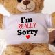 Cute Sorry Teddy Bear Gifts & Delivery | Teddy Information – Everything You Need to Know About Teddy Bears