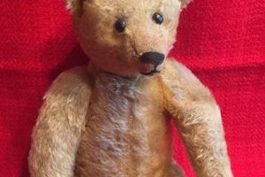Antique 1900 Teddy Bears: History & Value Teddy Information – Everything You Need to Know About Teddy Bears Antique 1900 Teddy Bears: History & Value | Teddy Information – Everything You Need to Know About Teddy Bears