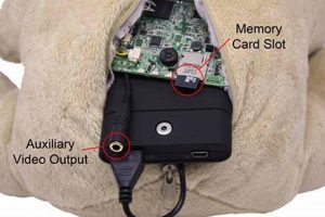 Best Hidden Teddy Bear Cameras for Home Security | Teddy Information – Everything You Need to Know About Teddy Bears