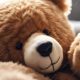 Sweet Dreams: Teddy Bear Sleeping Soundly | Teddy Information – Everything You Need to Know About Teddy Bears