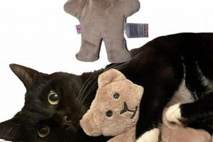 Best Organic Catnip Teddy Bears for Cats | Teddy Information – Everything You Need to Know About Teddy Bears