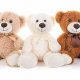 Cute & Cuddly: Oriental Trading Teddy Bears | Teddy Information – Everything You Need to Know About Teddy Bears