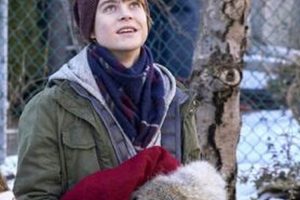 The Christmas Chronicles: Teddy Bear's Magical Journey Teddy Information – Everything You Need to Know About Teddy Bears The Christmas Chronicles: Teddy Bear's Magical Journey | Teddy Information – Everything You Need to Know About Teddy Bears