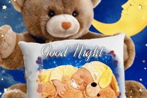 Cuddly Night Teddy Bears for Sweet Dreams Teddy Information – Everything You Need to Know About Teddy Bears Cuddly Night Teddy Bears for Sweet Dreams | Teddy Information – Everything You Need to Know About Teddy Bears