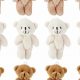 Adorable Mini Teddy Bears for Sale & More | Teddy Information – Everything You Need to Know About Teddy Bears