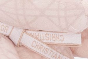 Luxury Dior Teddy Bear Plush: Price & Guide | Teddy Information – Everything You Need to Know About Teddy Bears