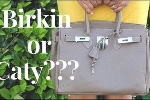 Luxurious Teddy Blake Birkin Bags & Accessories | Teddy Information – Everything You Need to Know About Teddy Bears