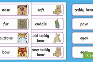 Top Teddy Bear Synonyms & Alternatives Teddy Information – Everything You Need to Know About Teddy Bears Top Teddy Bear Synonyms & Alternatives | Teddy Information – Everything You Need to Know About Teddy Bears