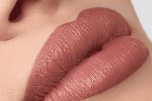 Best Velvet Teddy Lip Liner: A Complete Guide | Teddy Information – Everything You Need to Know About Teddy Bears
