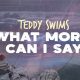 Teddy Swims' "What More Can I Say" Lyrics Meaning | Teddy Information – Everything You Need to Know About Teddy Bears