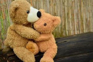 Cozy Teddy Bear Snuggles: Comfort & Joy Teddy Information – Everything You Need to Know About Teddy Bears Cozy Teddy Bear Snuggles: Comfort & Joy | Teddy Information – Everything You Need to Know About Teddy Bears