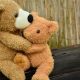 Cozy Teddy Bear Snuggles: Comfort & Joy | Teddy Information – Everything You Need to Know About Teddy Bears